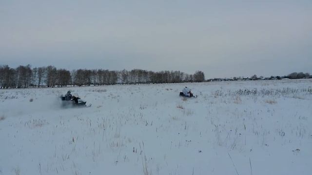 Вентура и Вайдтрак смотреть онлайн