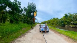 Сиреноголовый Светофор Сканировал нас Что бы забрать наши Души!?