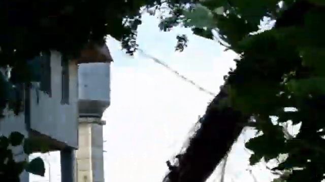 Как кричит павлин и какой же у него всетаки длинный и красивый хвост. смотреть онлайн