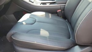 Palisade Calligraphy 2023.Обзор спустя месяц