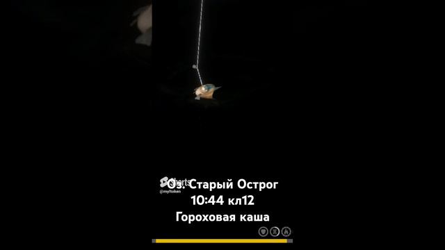 Трофейный Лещ оз. Острог#russianfishing4