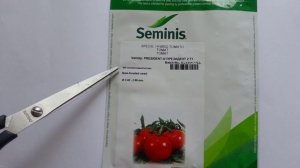 Президент II F1 семена томата (Seminis), Антифейк  Часть 4