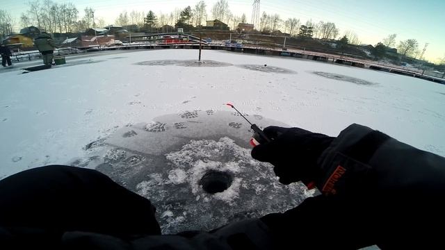 Ловля форели со льда в КРХ Савельево-2 или нежданный судак 09.12.2020 смотреть онлайн