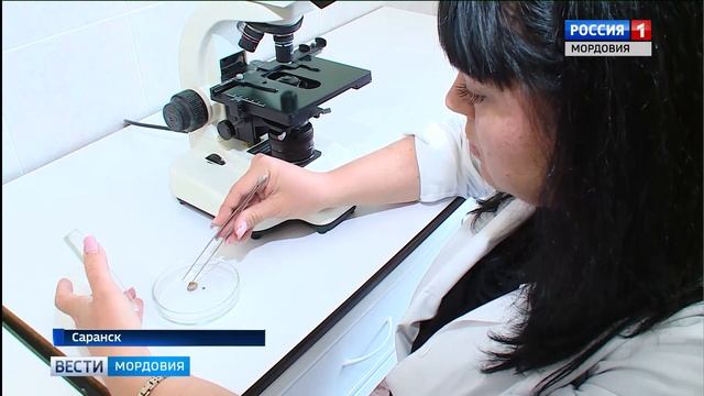 Клеща бояться! В лес не ходить! смотреть онлайн