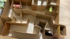 DIY: ЛАБИРИНТ ДЛЯ КРЫС СВОИМИ РУКАМИ ИЗ КАРТОННЫХ КОРОБОК | КАК ВНЕСТИ РАЗНООБРАЗИЕ В ВЫГУЛ КРЫС