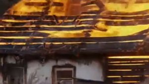 Дачная поєздка сіржанта цибулі