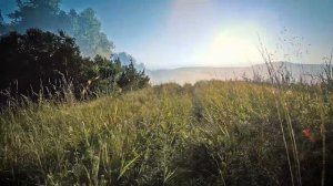 Не оставляй вершину за собой