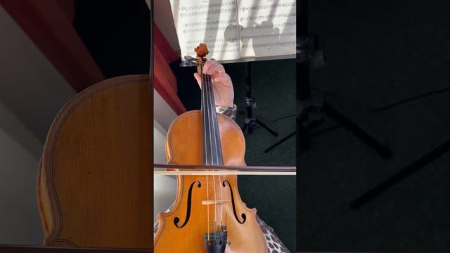 #violinedit#violintutorial#violin#violinschool#teacher#musicschool#скрипка#днепр#music#coach#dp смотреть онлайн