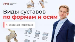 Виды суставов по формам и осям | Владимир Меркурьев (FPA)