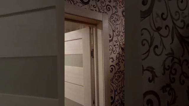 Сибирь-Профиль, двери EcoLine модель 200, цвет ясень снежный!