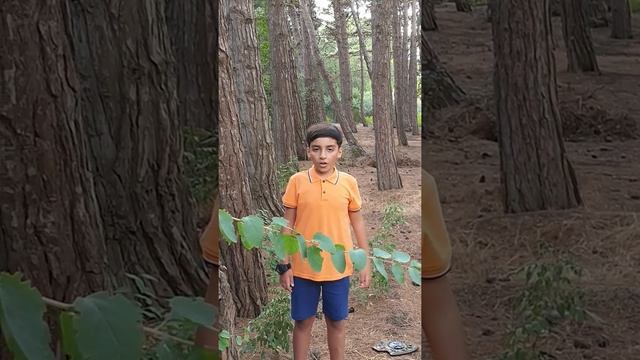 "Песнь о Вещем Олеге". Прослушать произведение А.С.Пушкина. Гусейн Гусейнов смотреть онлайн