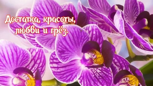 КРАСИВОЕ ПОЗДРАВЛЕНИЕ С ДНЁМ РОЖДЕНИЯ ДЛЯ ЖЕНЩИНЫ