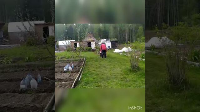 огородники