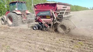 Сеем по валкам рапсовой соломы