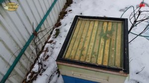 пчеловодство. февральский осмотр, работа на пасеке в феврале