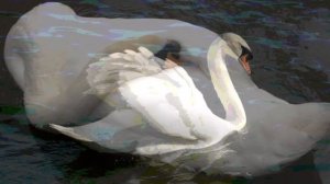 Алла Пугачева - "Так же как все..."