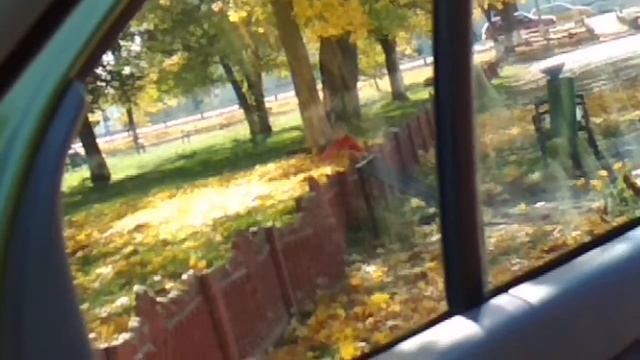 Осеннее настроение