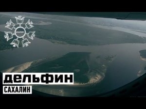 Дельфин - Сахалин  / Dolphin - Sakhalin