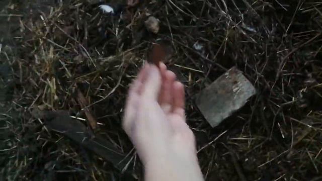 Курица села на яйца. Сегодня 17.04.я снимала 16.04.
