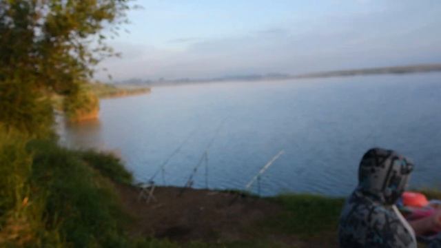 #сальск #маныч #рыбалка #avatar #утро# смотреть онлайн