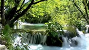 заповедники природных зон России