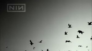 NINE INCH NAILS - GHOSTS (FULL ALBUM)