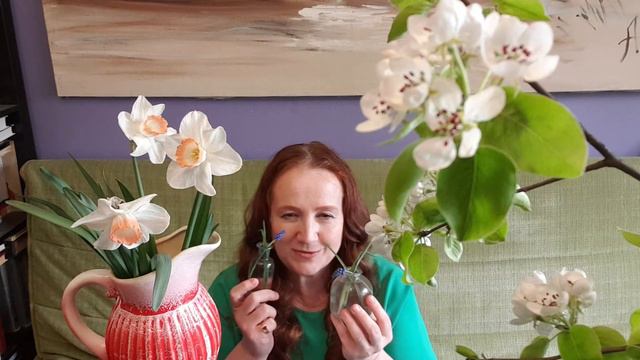 Весна события смотреть онлайн