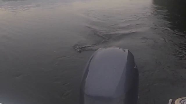 десногорск 2016 смотреть онлайн