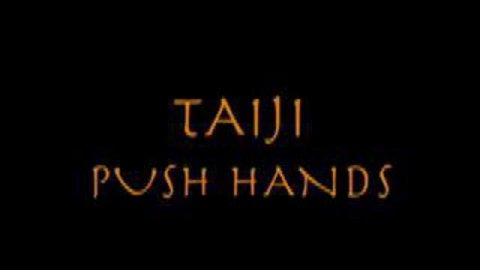 "ТАЙДЗИ" ГРАНД МАСТЕР SHENG SHYAN