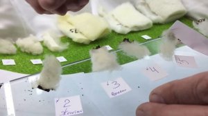 Как отличить натуральную шерсть от искуственной