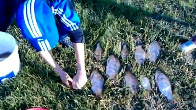 Удачная рыбалка часть 2