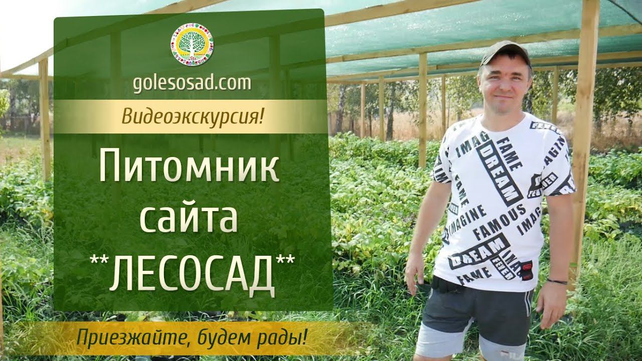 Видеоэкскурсия по нашему питомнику, сайта 