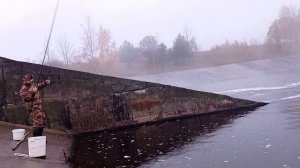 Ловля окуня на Трояне, на креветку, на поплавок!!!