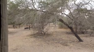 Танзания. Национальный парк Selus (Селус), Сафари, часть2 .