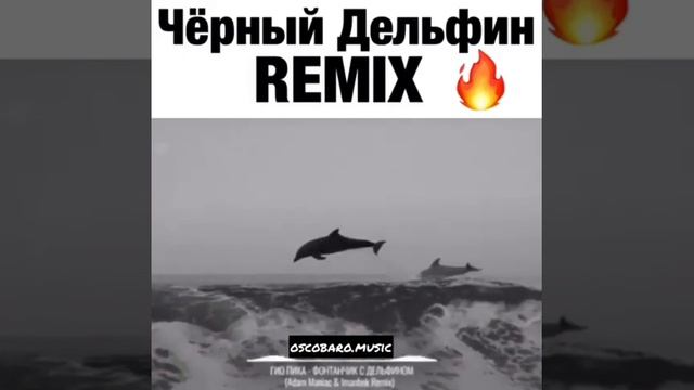 Песня про черный дельфин
