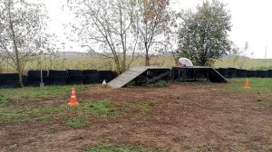 Мини бультерьер 4.5 месяца. Впервые на площадке. Дрессировка. Кинолог.