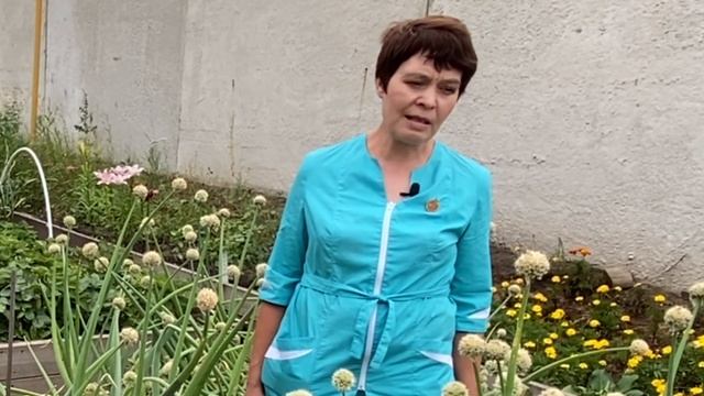 Лук. Подробно. Школа продвинутого садовода смотреть онлайн