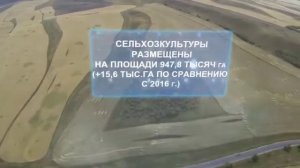 Развитие сельского хозяйства в Алматинской области в 2017 году