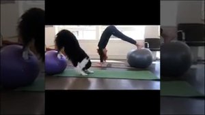 Собака+женщина