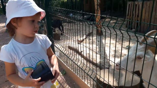 Детская непосредственность смотреть онлайн