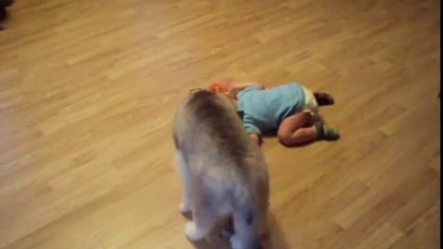 Щенок хаски и малыш смотреть онлайн