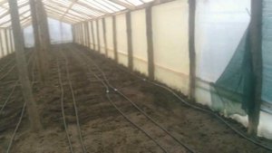 Отопление теплиц пластиковыми трубами подогрев води