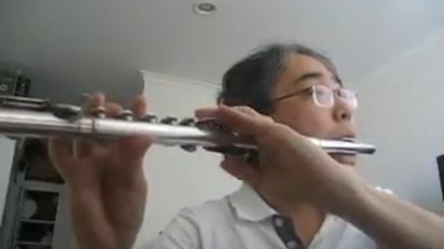 찬송가 Hymn - 350 장 - 나의 죄를 정케하사 - Pearl Nickel Flute смотреть онлайн