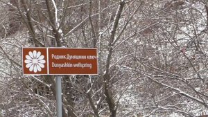 Алтай. Белокуриха. Дуняшкин ключ. Накормили  птичек