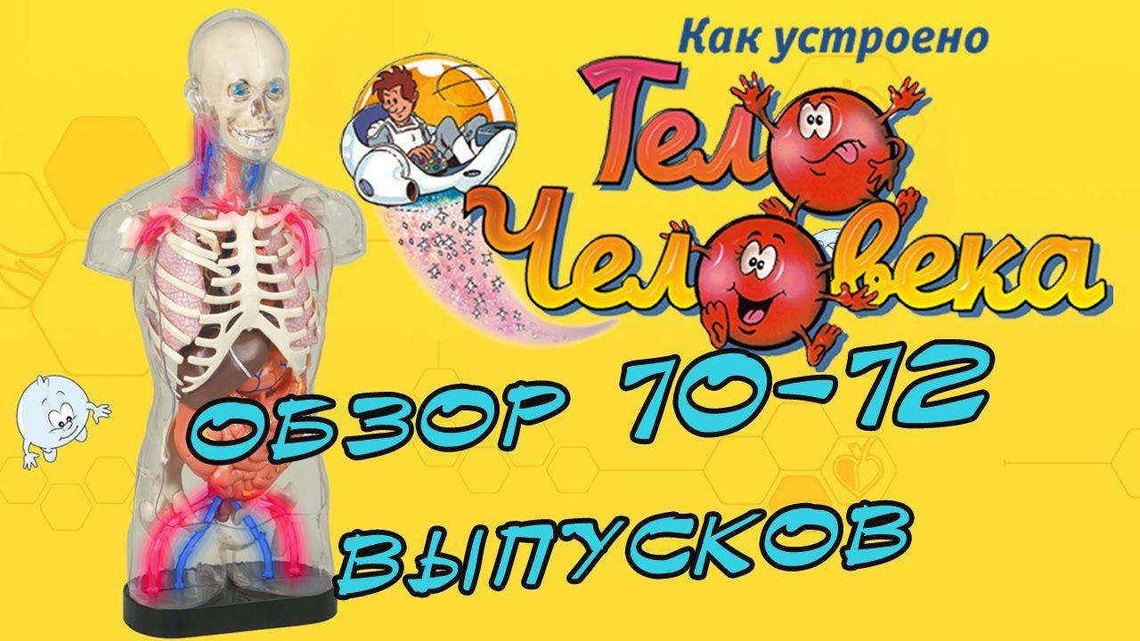 Как устроено тело человека | DeAgostini | 70-72 выпуски