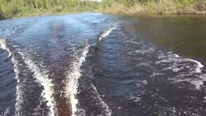 ниссан марин 9.8