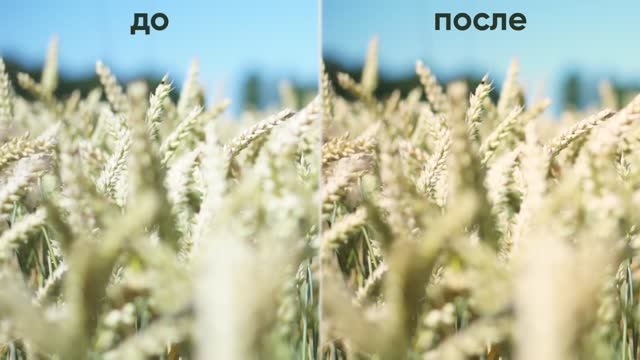 ДЗ_PR_с/к_3.4 Цветокоррекция