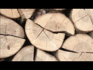 КАК ОПРЕДЕЛИТЬ КАЧЕСТВО ЩЕПЫ ДЛЯ КОПЧЕНИЯ