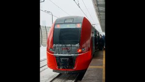 ОБЗОР на ЭлектроПоезд "Ласточка" (ЭС1 ЭС1П ЭС2Г ЭС2ГП)