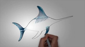 Морские животные. Как нарисовать морских животных РЫБА МЕЧ